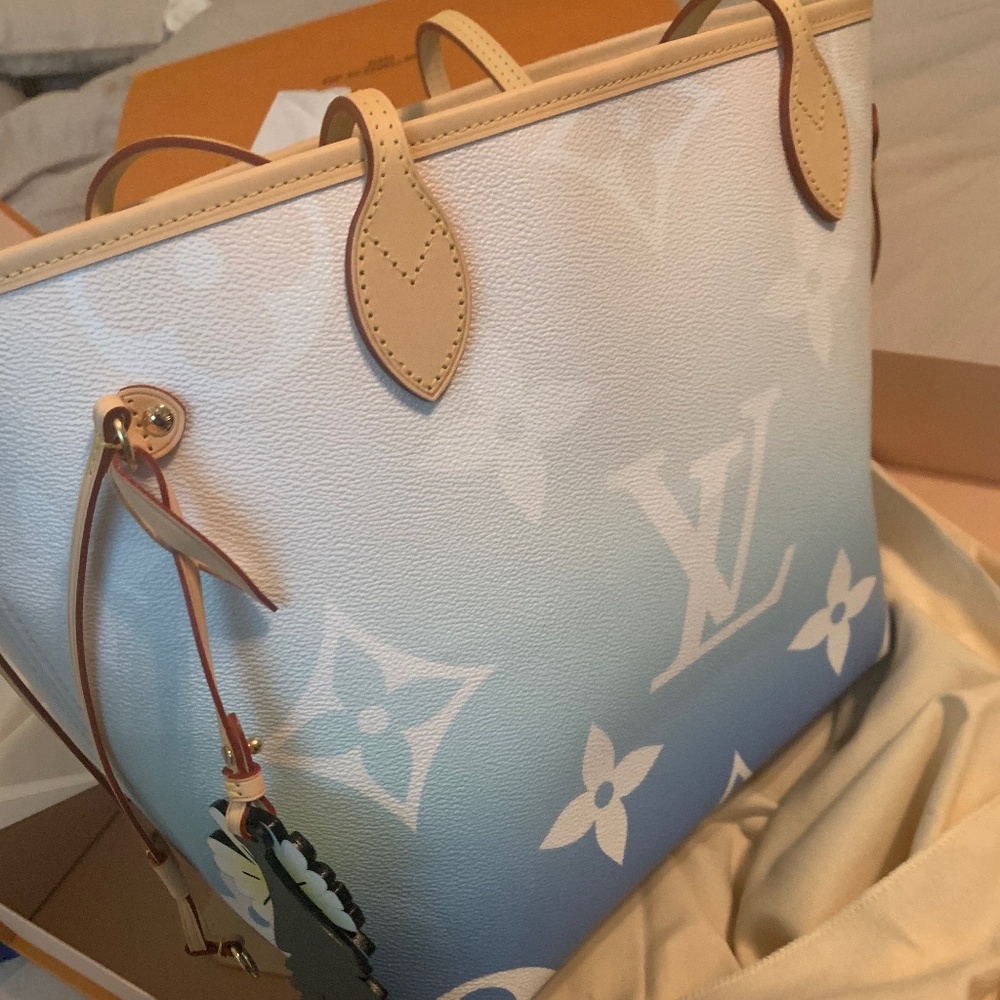 Louis Vuitton Bag